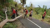 Pemdes Makalelon dan Masyarakat Kerja Bakti Pemdes Makalelon dan Masyarakat Kerja Bakti