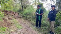 Buka Akses Ekonomi Petani, Pemdes Kaweng Revitalisasi Jalan Perkebunan Wole